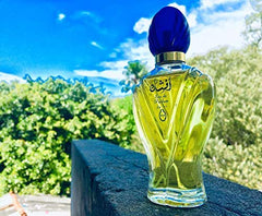 Afshan Arabic Eau De Long Lasting Perfume for Men &amp; Women - 100ml